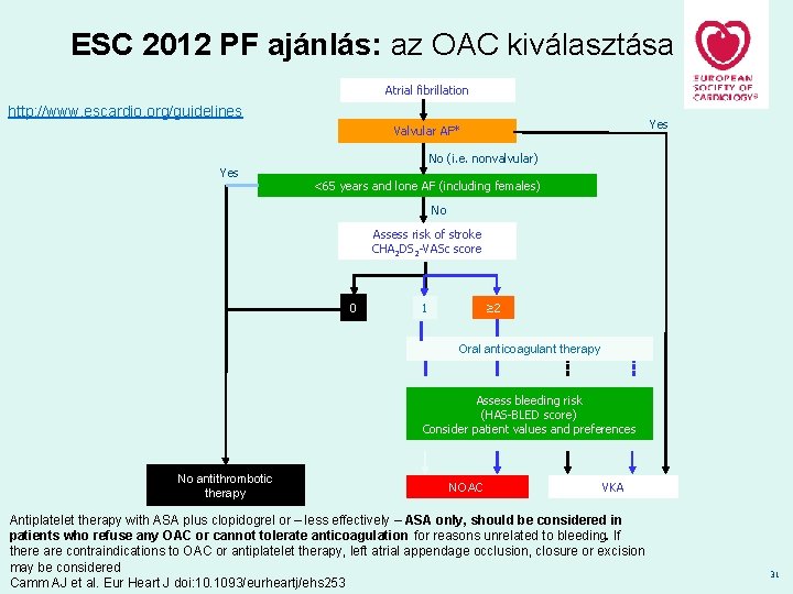 ESC 2012 PF ajánlás: az OAC kiválasztása Atrial fibrillation http: //www. escardio. org/guidelines Yes