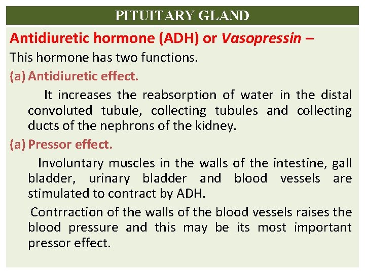 PITUITARY GLAND Antidiuretic hormone (ADH) or Vasopressin – This hormone has two functions. (a)