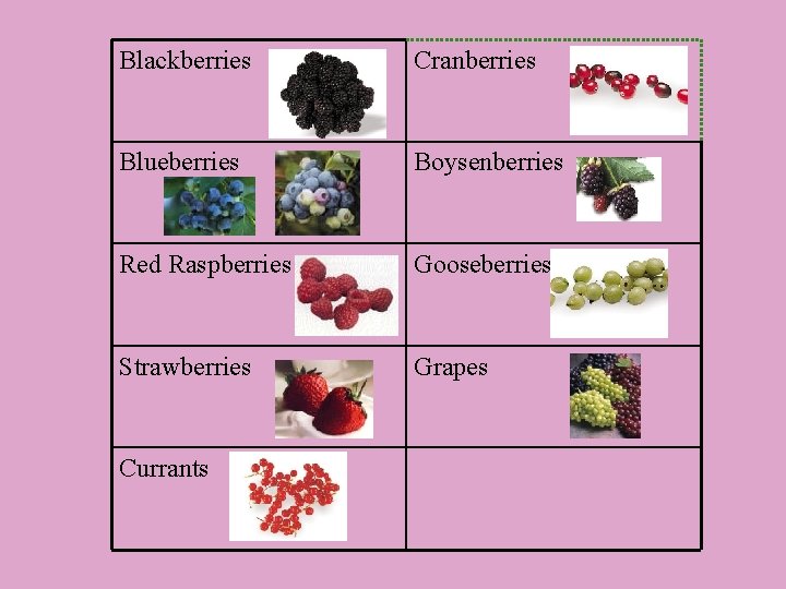 Blackberries Cranberries Blueberries Boysenberries Red Raspberries Gooseberries Strawberries Grapes Currants 