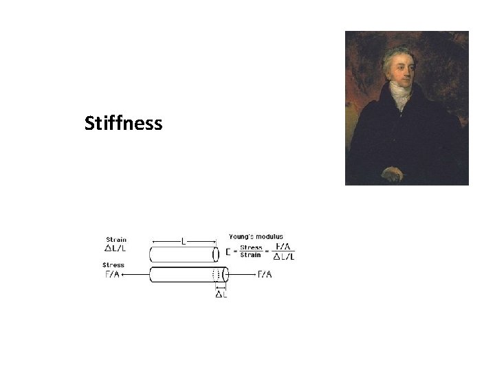 Stiffness 