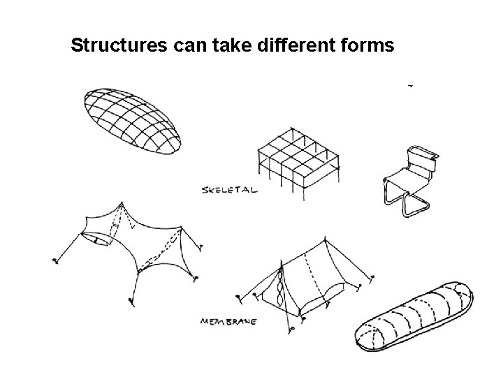 Structures can take different forms 