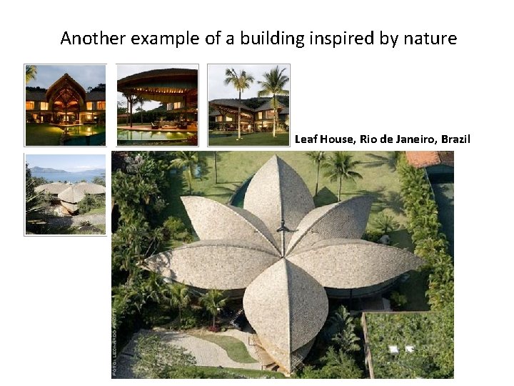 Another example of a building inspired by nature Leaf House, Rio de Janeiro, Brazil