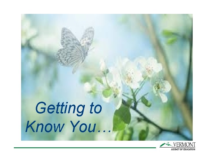 Getting to Know You… 