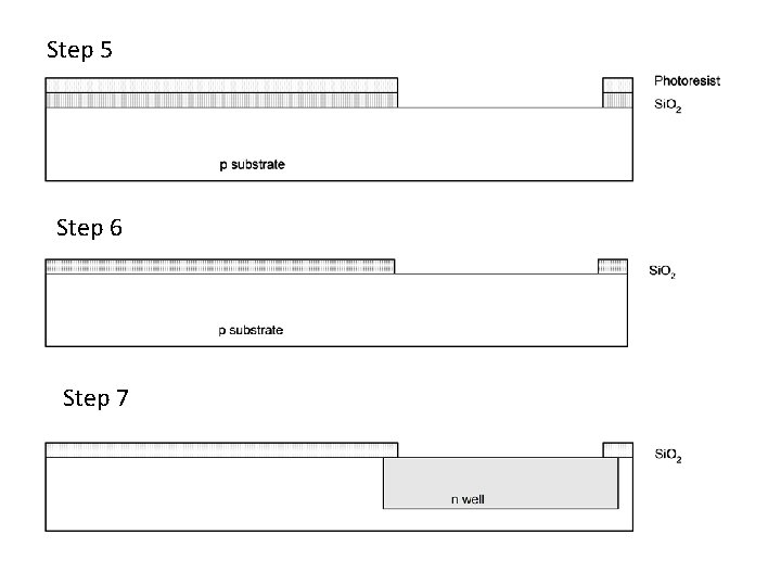 Step 5 Step 6 Step 7 