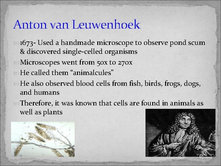 Anton van Leuwenhoek 1673 - Used a handmade microscope to observe pond scum &