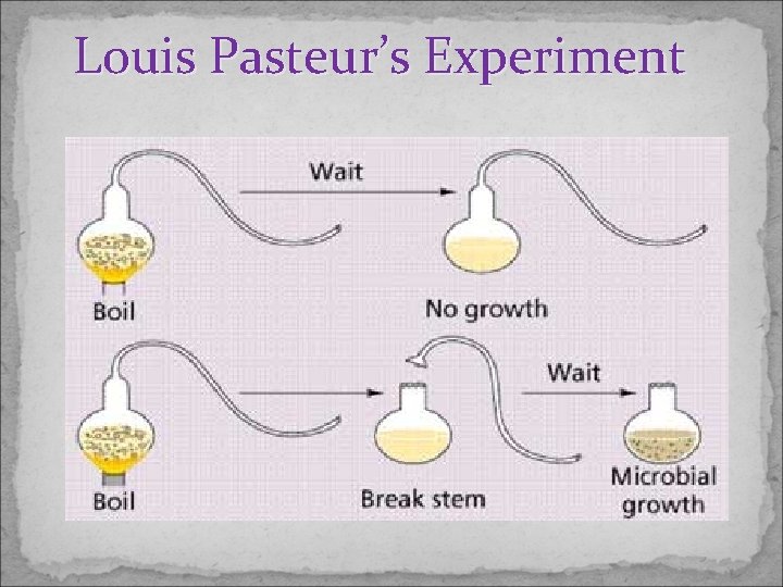 Louis Pasteur’s Experiment 
