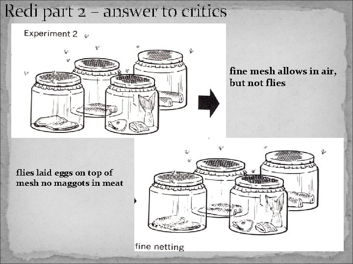 Redi part 2 – answer to critics fine mesh allows in air, but not