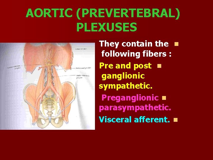 AORTIC (PREVERTEBRAL) PLEXUSES They contain the n following fibers : Pre and post n
