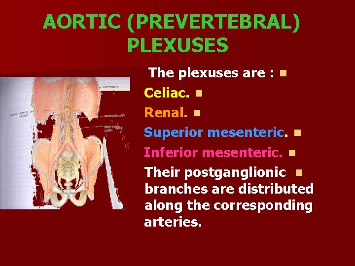 AORTIC (PREVERTEBRAL) PLEXUSES The plexuses are : n Celiac. n Renal. n Superior mesenteric.