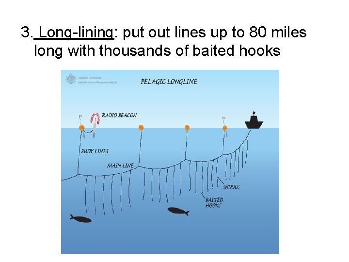 3. Long-lining: put out lines up to 80 miles long with thousands of baited