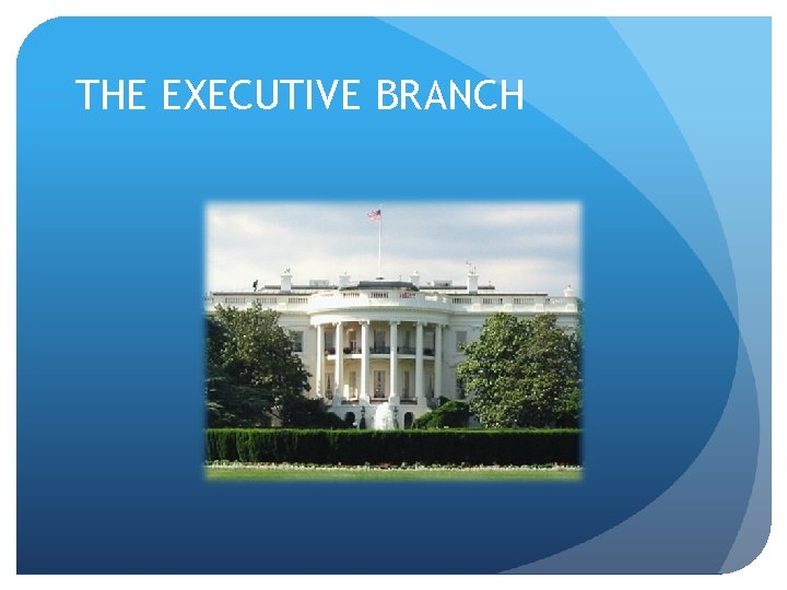 THE EXECUTIVE BRANCH 