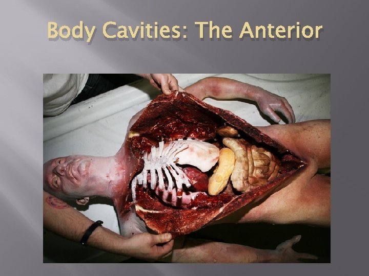 Body Cavities: The Anterior 