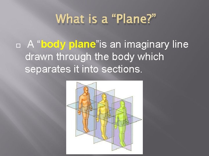 What is a “Plane? ” A “body plane”is an imaginary line drawn through the