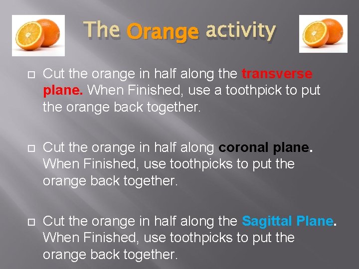 The Orange activity Cut the orange in half along the transverse plane. When Finished,