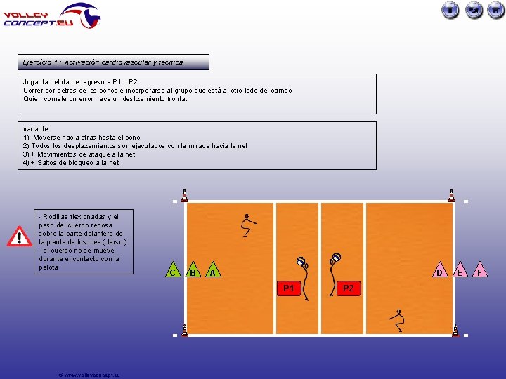 Ejercício 1 : Activación cardiovascular y técnica Jugar la pelota de regreso a P