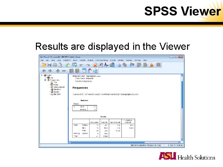 SPSS Viewer Results are displayed in the Viewer SPSS Viewer Results are displayed in the Viewer