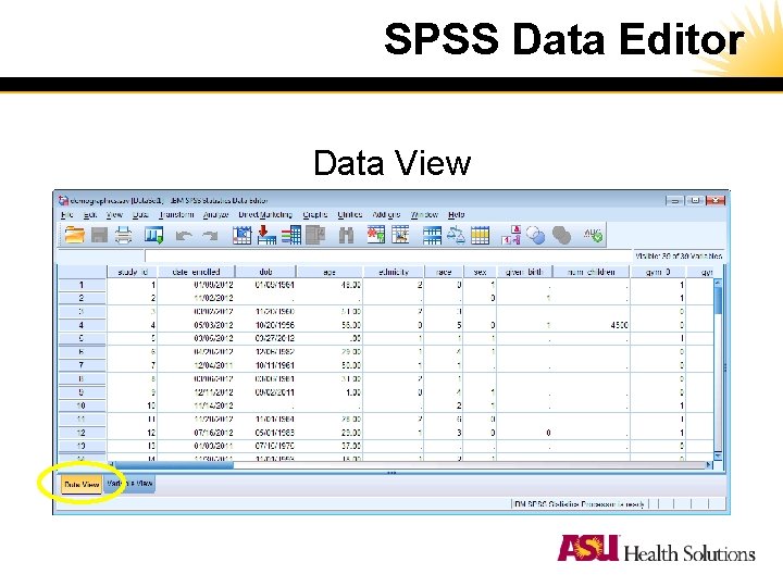 SPSS Data Editor Data View SPSS Data Editor Data View