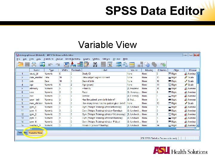 SPSS Data Editor Variable View SPSS Data Editor Variable View