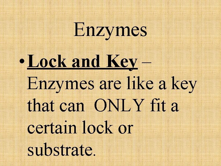 Enzymes • Lock and Key – Enzymes are like a key that can ONLY