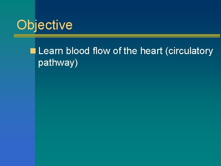 Objective n Learn blood flow of the heart (circulatory pathway) 