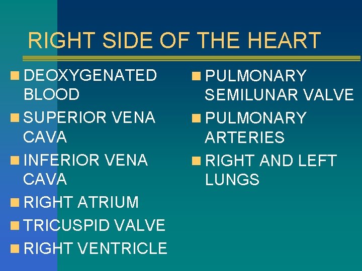 RIGHT SIDE OF THE HEART n DEOXYGENATED n PULMONARY BLOOD n SUPERIOR VENA CAVA