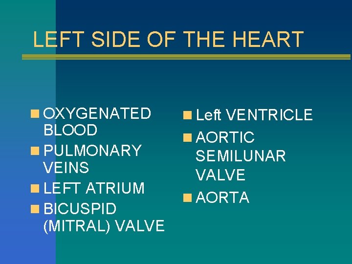 LEFT SIDE OF THE HEART n OXYGENATED BLOOD n PULMONARY VEINS n LEFT ATRIUM