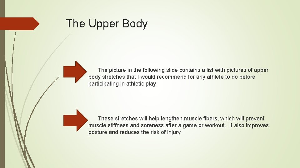 The Upper Body The picture in the following slide contains a list with pictures