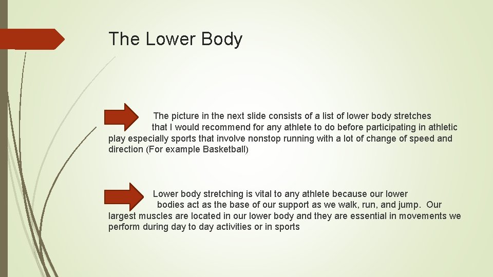 The Lower Body The picture in the next slide consists of a list of