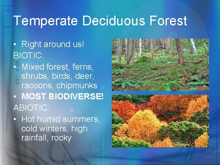Temperate Deciduous Forest • Right around us! BIOTIC: • Mixed forest, ferns, shrubs, birds,