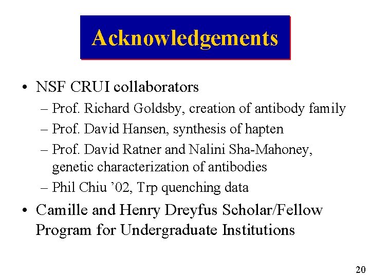 Acknowledgements • NSF CRUI collaborators – Prof. Richard Goldsby, creation of antibody family –