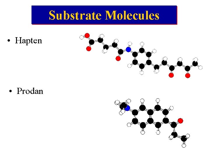 Substrate Molecules • Hapten • Prodan 