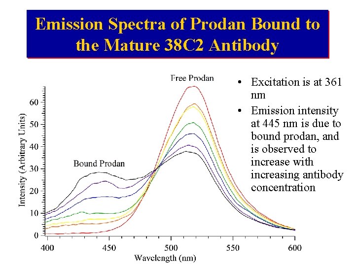Emission Spectra of Prodan Bound to the Mature 38 C 2 Antibody • Excitation