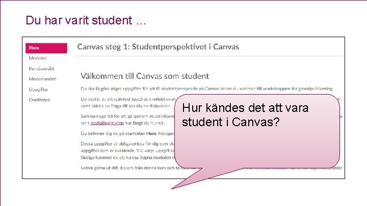 Du har varit student … Hur kändes det att vara student i Canvas? 