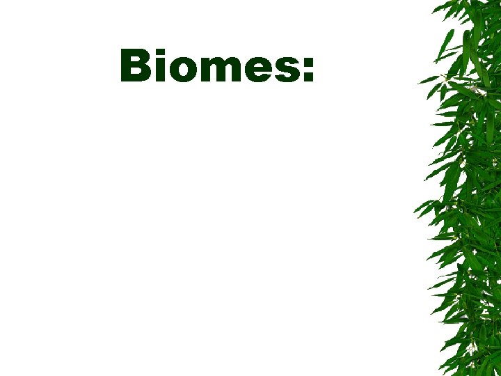 Biomes: 