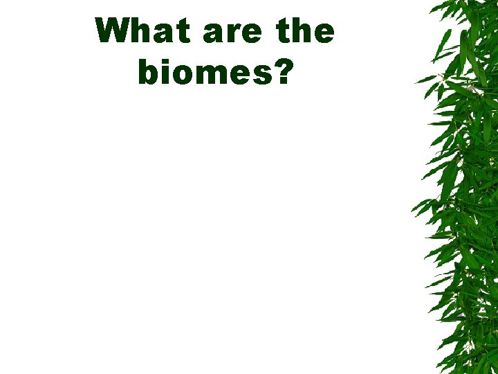 What are the biomes? 