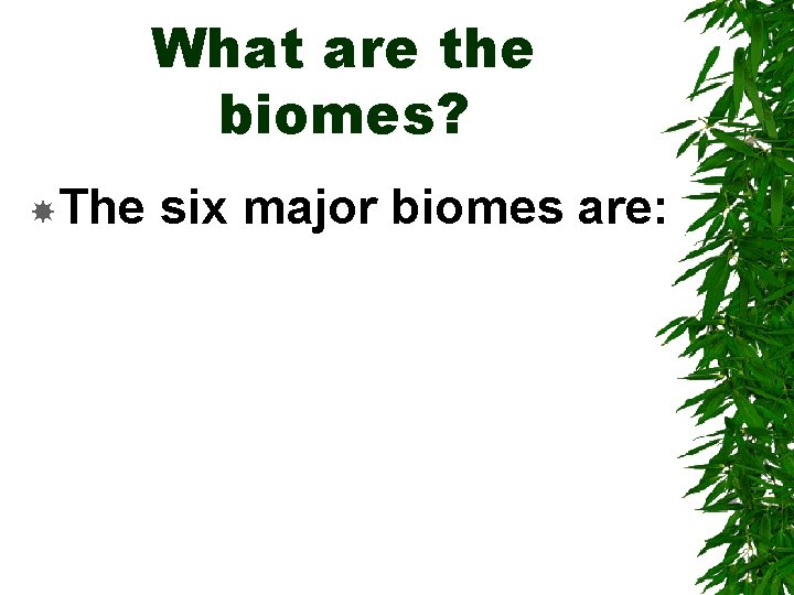 What are the biomes? The six major biomes are: 