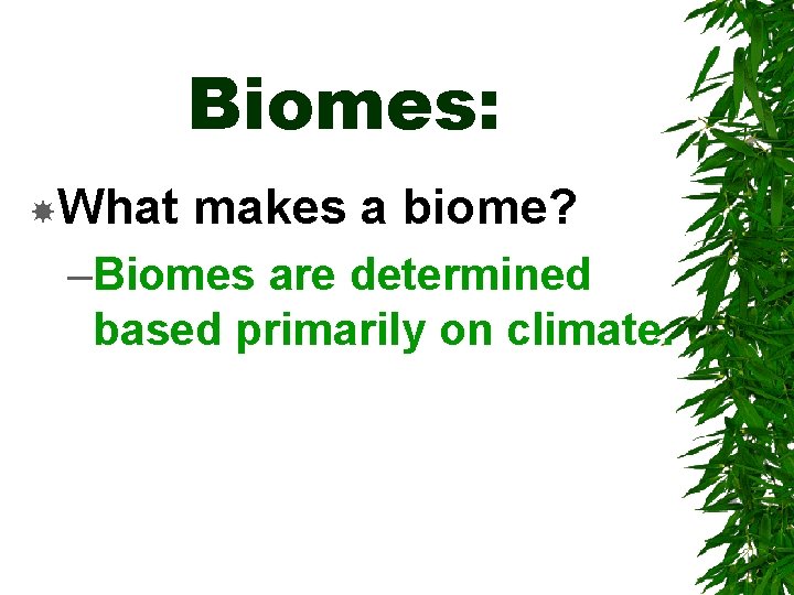 Biomes: What makes a biome? –Biomes are determined based primarily on climate. 