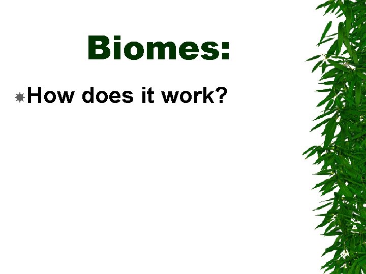 Biomes: How does it work? 