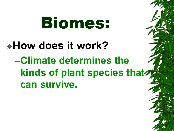 Biomes: How does it work? –Climate determines the kinds of plant species that can