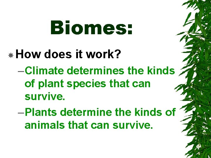 Biomes: How does it work? – Climate determines the kinds of plant species that