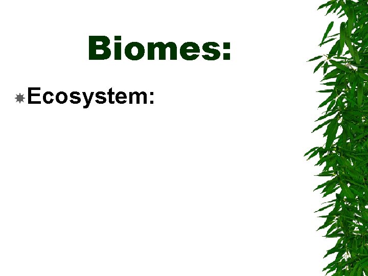 Biomes: Ecosystem: 