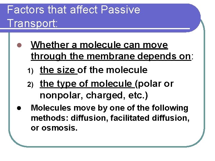 Factors that affect Passive Transport: l Whether a molecule can move through the membrane