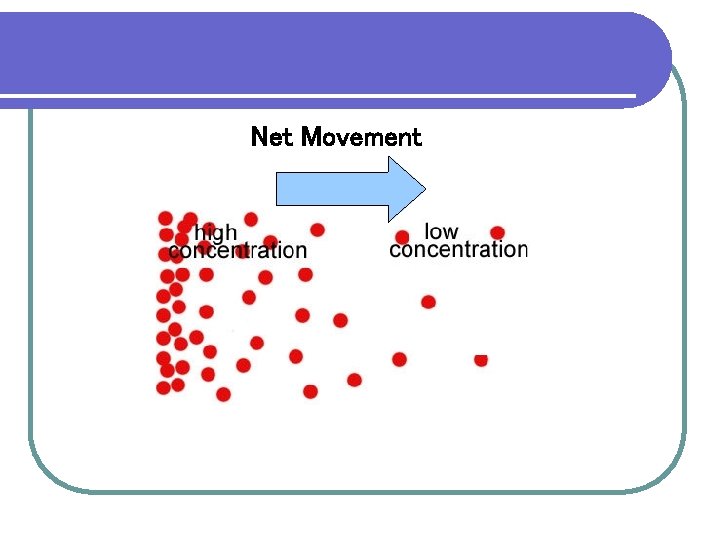 Net Movement 