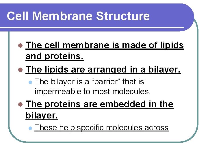 Cell Membrane Structure l The cell membrane is made of lipids and proteins. l