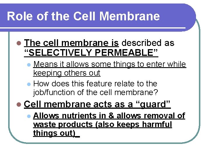 Role of the Cell Membrane l The cell membrane is described as “SELECTIVELY PERMEABLE”