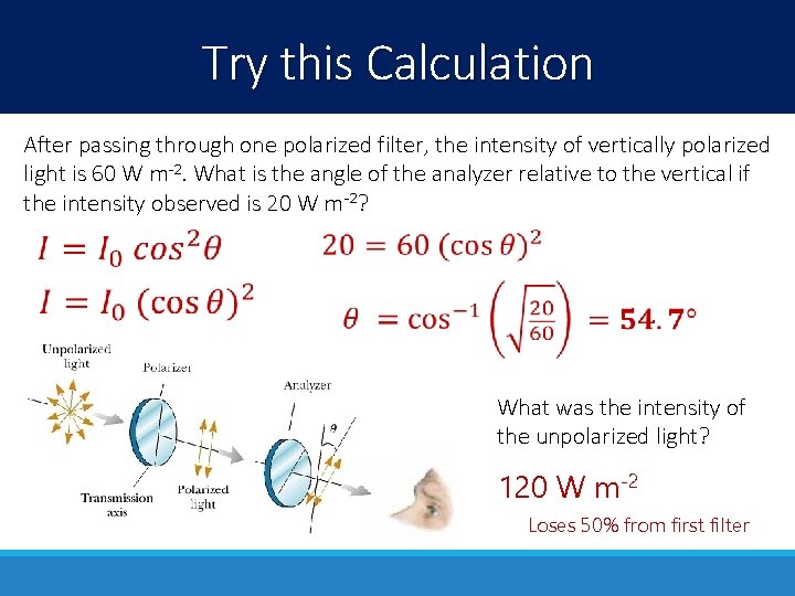 Try this Calculation After passing through one polarized filter, the intensity of vertically polarized