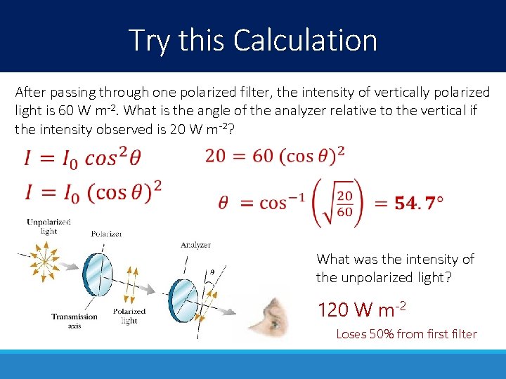 Try this Calculation After passing through one polarized filter, the intensity of vertically polarized Try this Calculation After passing through one polarized filter, the intensity of vertically polarized