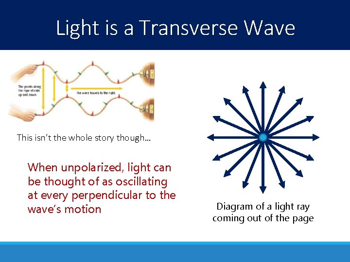 Light is a Transverse Wave This isn’t the whole story though… When unpolarized, light