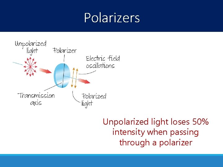 Polarizers Unpolarized light loses 50% intensity when passing through a polarizer 