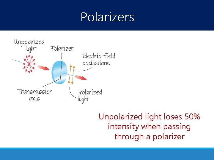 Polarizers Unpolarized light loses 50% intensity when passing through a polarizer Polarizers Unpolarized light loses 50% intensity when passing through a polarizer